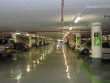 DSC00560.jpg